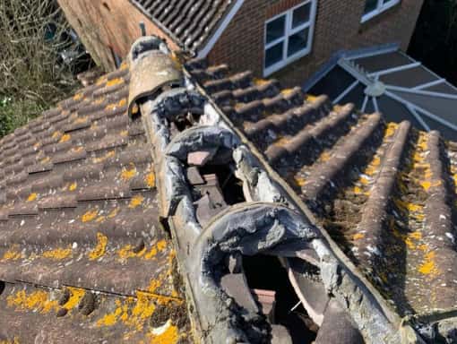 This is a photo of a roof needing repairs in Rye, East Sussex